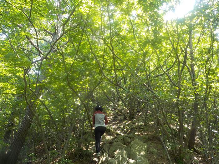 대구 앞산 등산코스 최단코스 등산지도17