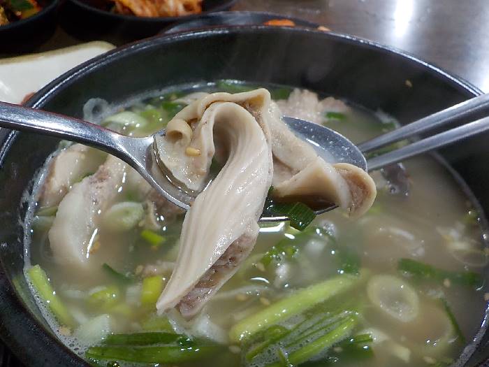 경남 하동 맛집 추천 백년국밥17