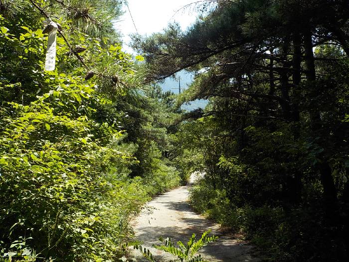 비계산 등산코스 거창 비계산 최단코스3