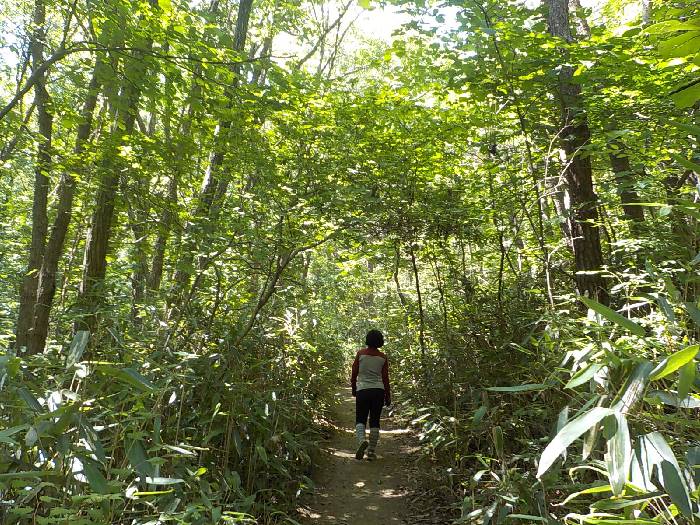 대야산 등산코스 문경 대야산 최단코스 등산지도19