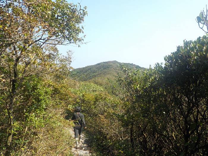 홍도 깃대봉 최단코스 산행기 등산지도18