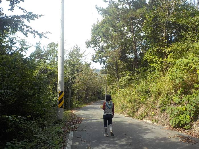 비금도 선왕산 등산코스 등산지도 버스시간표41