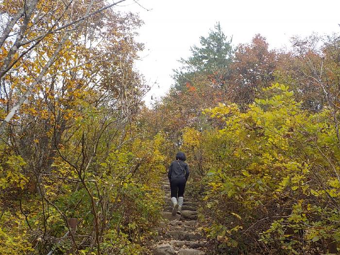 오대산 노인봉 등산코스 오대산 노인봉 최단코스 등산지도11