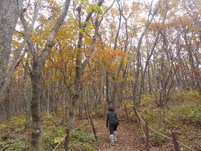 오대산 노인봉 등산코스 오대산 노인봉 최단코스 등산지도15