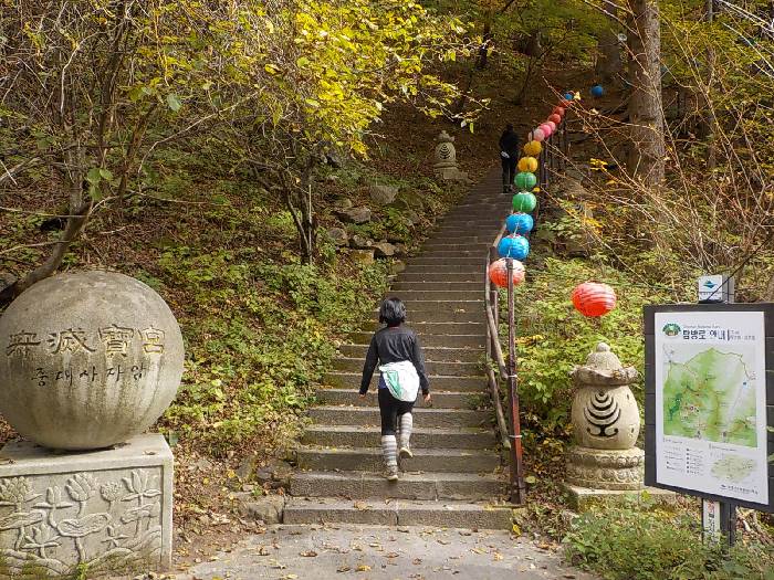 오대산 등산코스 오대산 비로봉 최단코스11