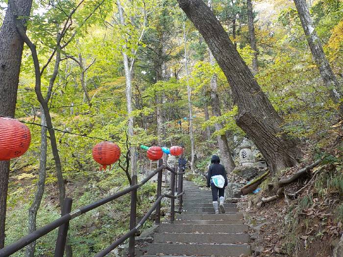 오대산 등산코스 오대산 비로봉 최단코스12