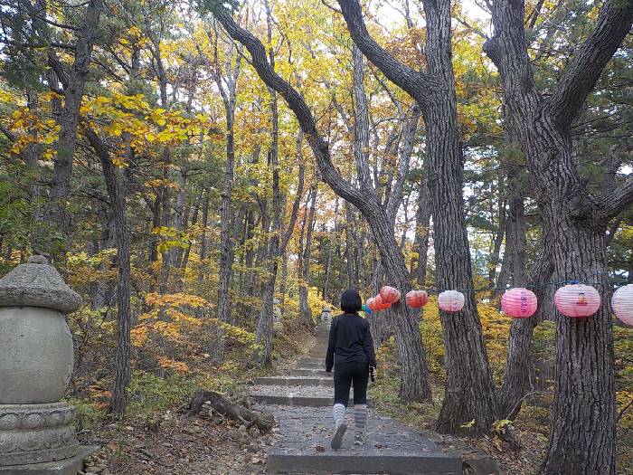 오대산 등산코스 오대산 비로봉 최단코스13