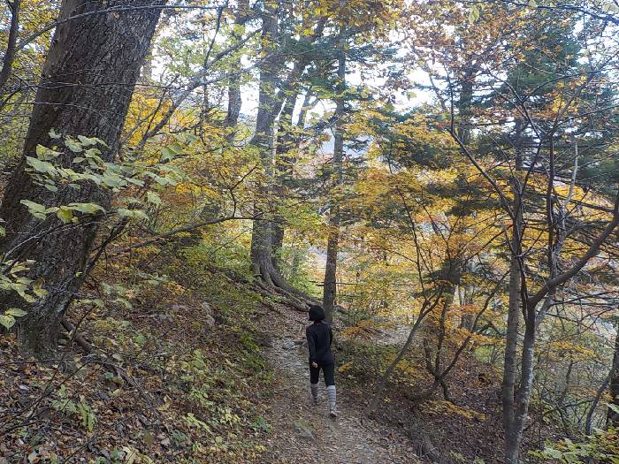 오대산 등산코스 오대산 비로봉 최단코스16