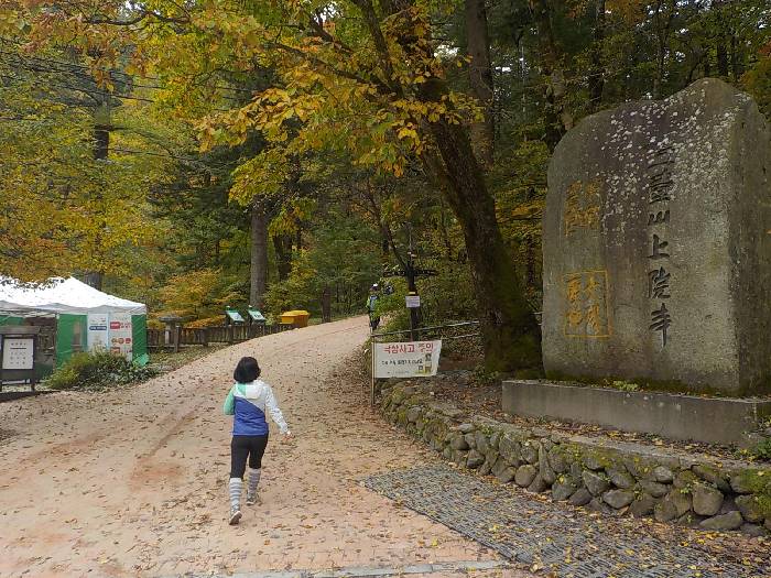 오대산 등산코스 오대산 비로봉 최단코스5