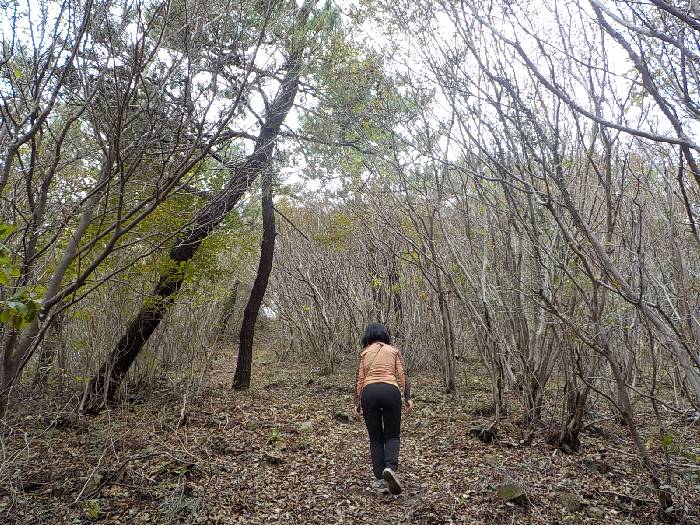 완도 삼문산 등산코스 조약도 약산도 삼문산 산행코스12