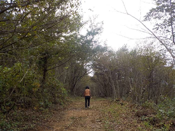 완도 삼문산 등산코스 조약도 약산도 삼문산 산행코스7