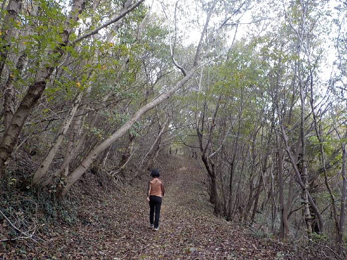 완도 삼문산 등산코스 조약도 약산도 삼문산 산행코스8