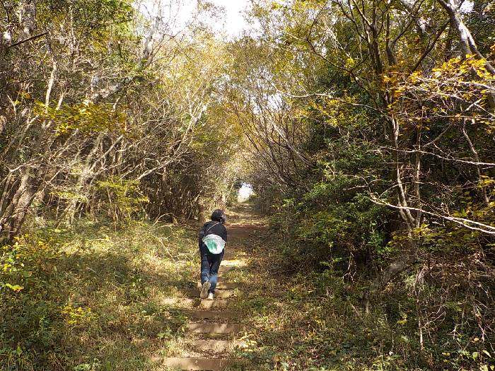 완도 신지도 상산 최단코스 산행 등산로13