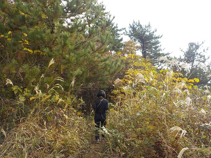 완도 신지도 상산 최단코스 산행 등산로19