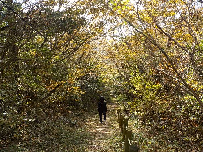 완도 신지도 상산 최단코스 산행 등산로20