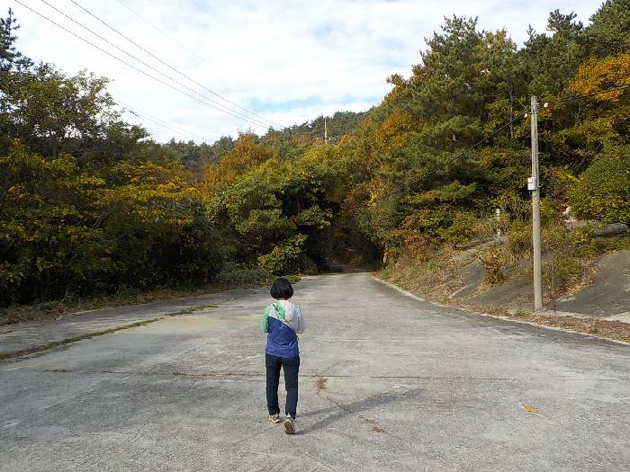 완도 신지도 상산 최단코스 산행 등산로4