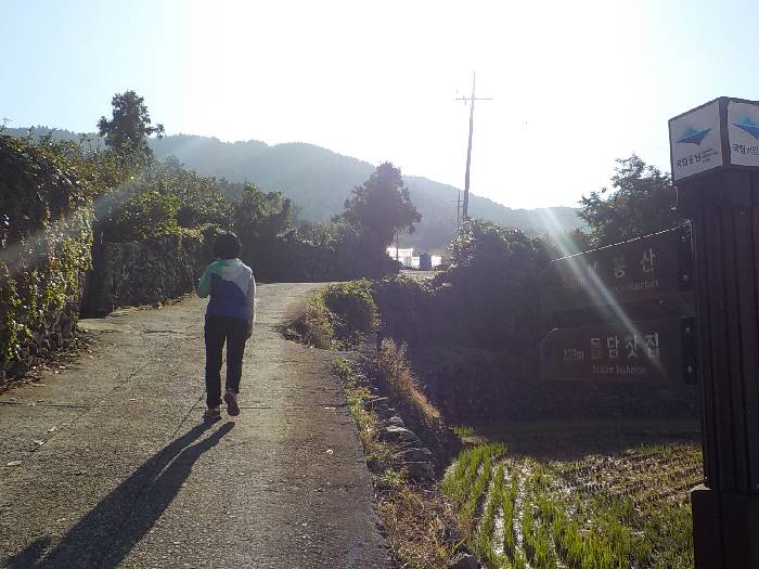 청산도 매봉산 등산코스 최단코스 등산지도3